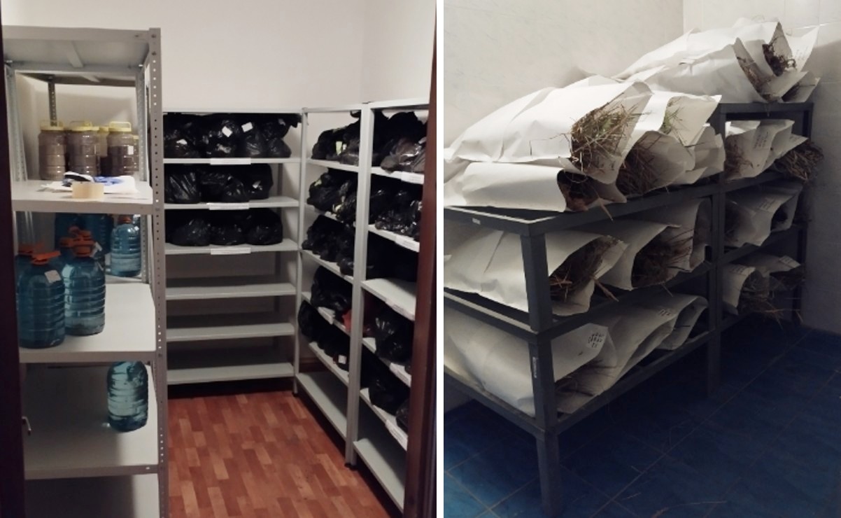 Рисунок 5 - Кладовые хранения образцов проб различных материалов