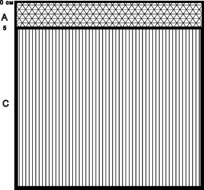 Рисунок 2 - Структура почвенного слоя