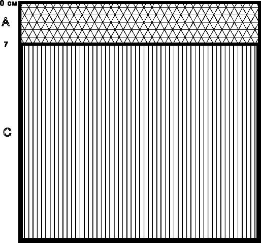 Рисунок 2 - Структура почвенного слоя