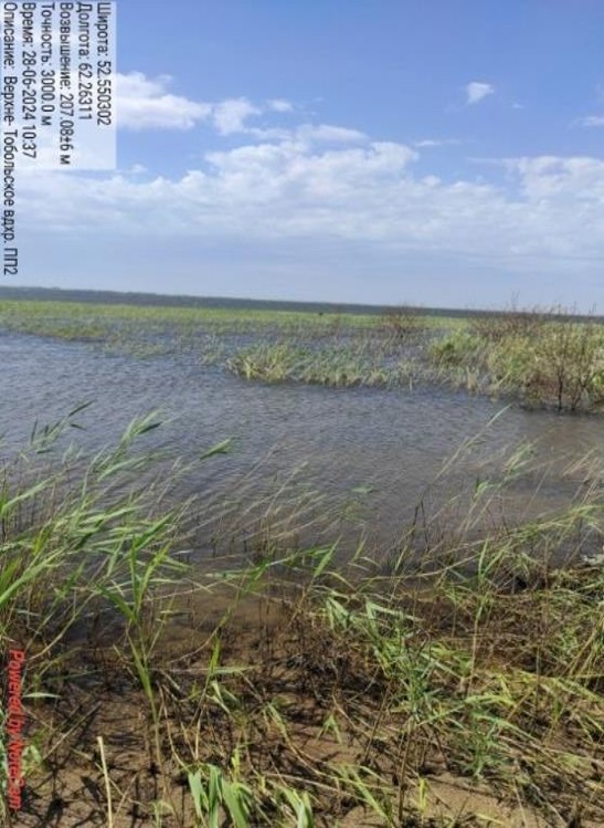 Рисунок 1 - МП-2. Пологий берег, заливные луга. Заросли камыша и кустарников