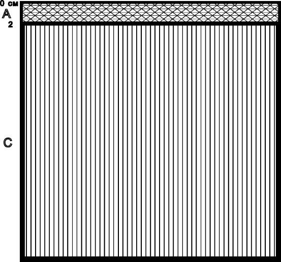 Рисунок 2 - Структура почвенного слоя