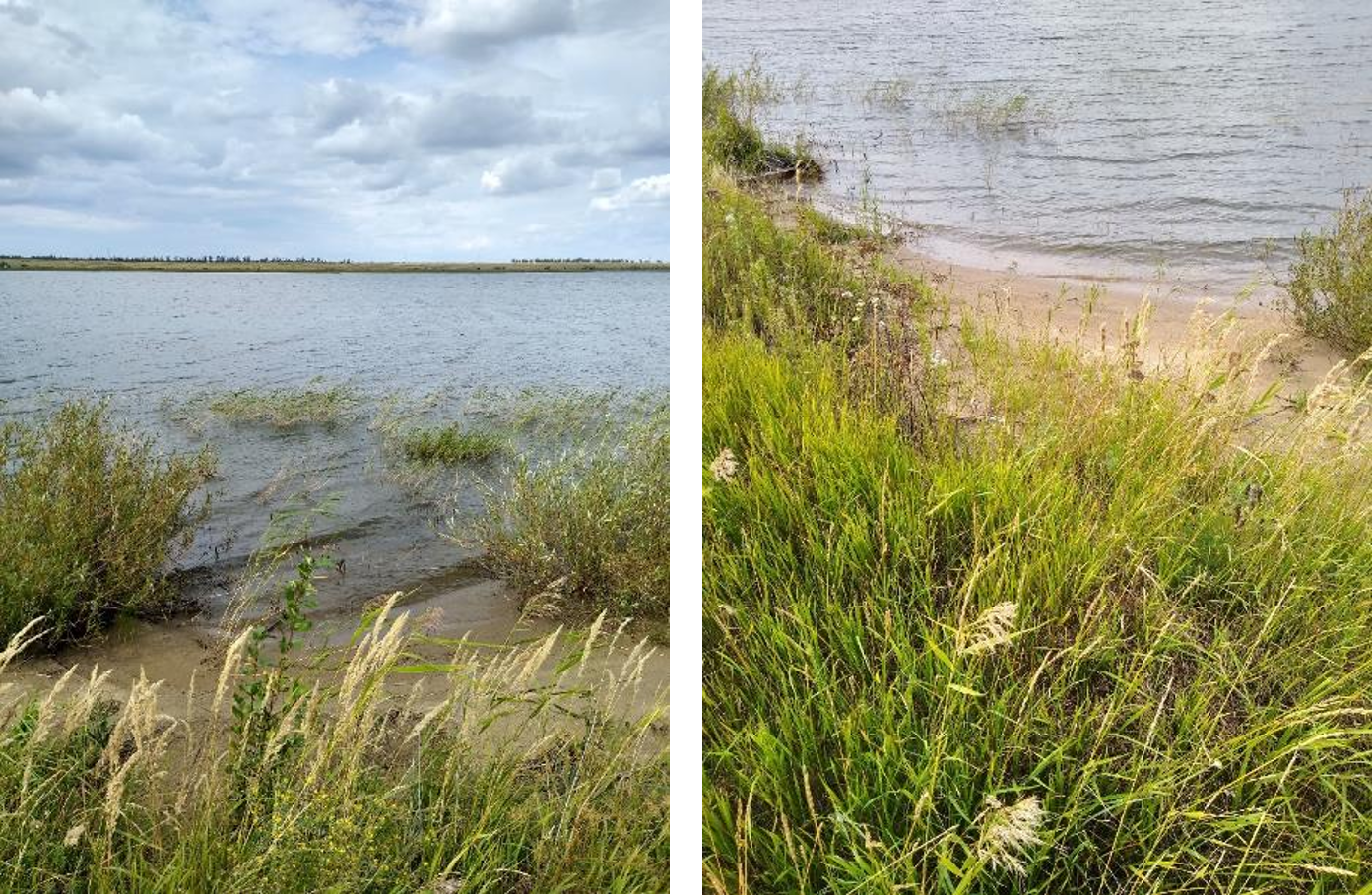 Рисунок1 - Структура почвенного слоя