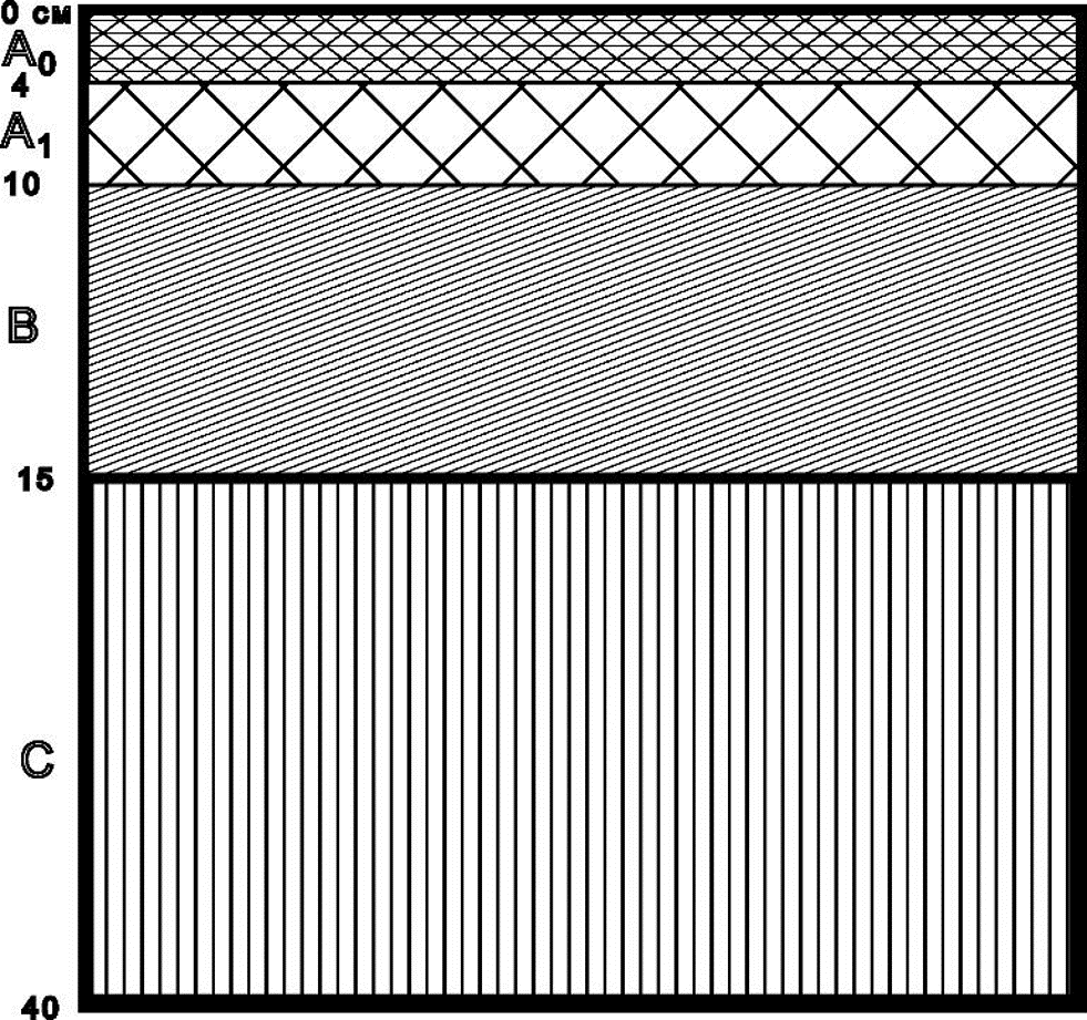 Рисунок 2. Структура почвенного профиля