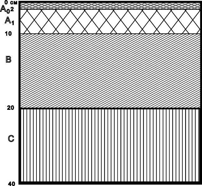 Рисунок 2 - Структура почвенного профиля