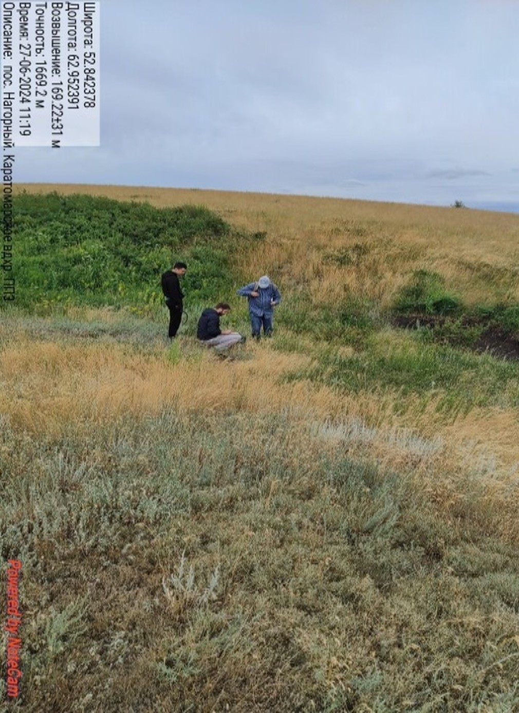 Рисунок 1 - МП-17. Степные фитоценозы