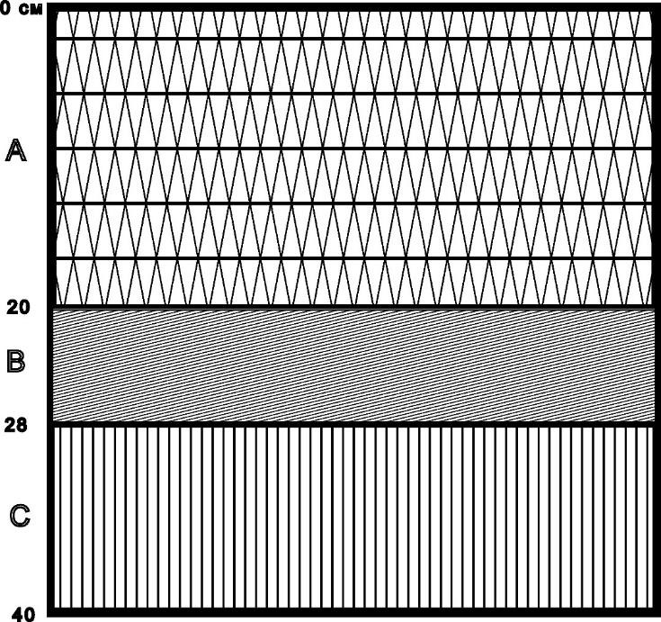 Рисунок 2 - Структура почвенного разреза