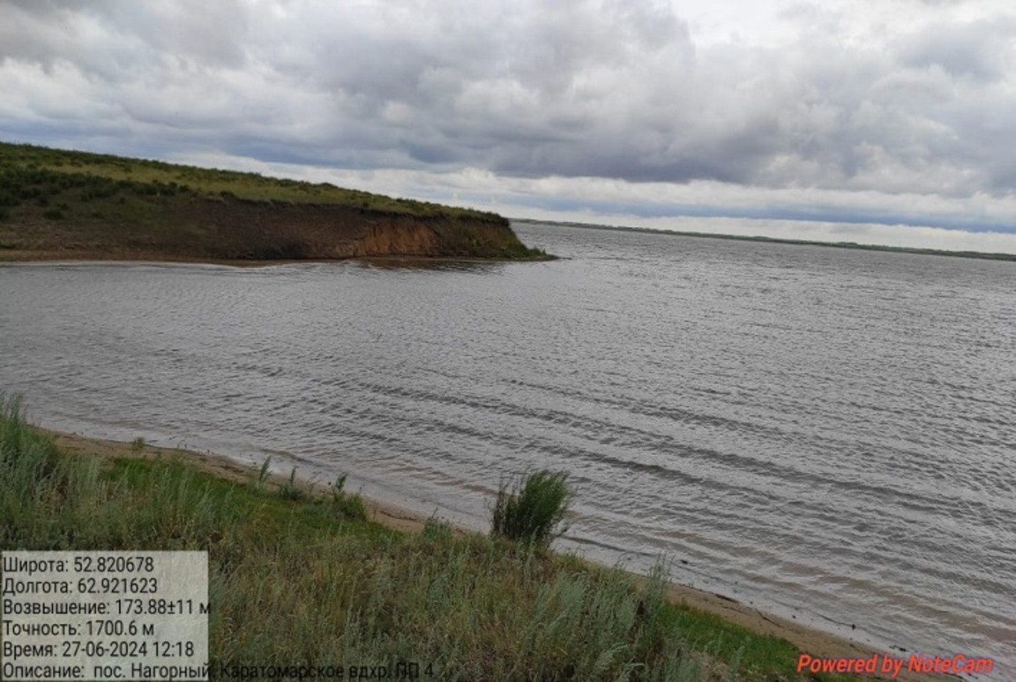 Рисунок 1 - МП-18. Окр. пос. Нагорное. Невысокий берег со следами антропогенного воздействия