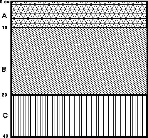 Рисунок 2 - Структура почвенного разреза