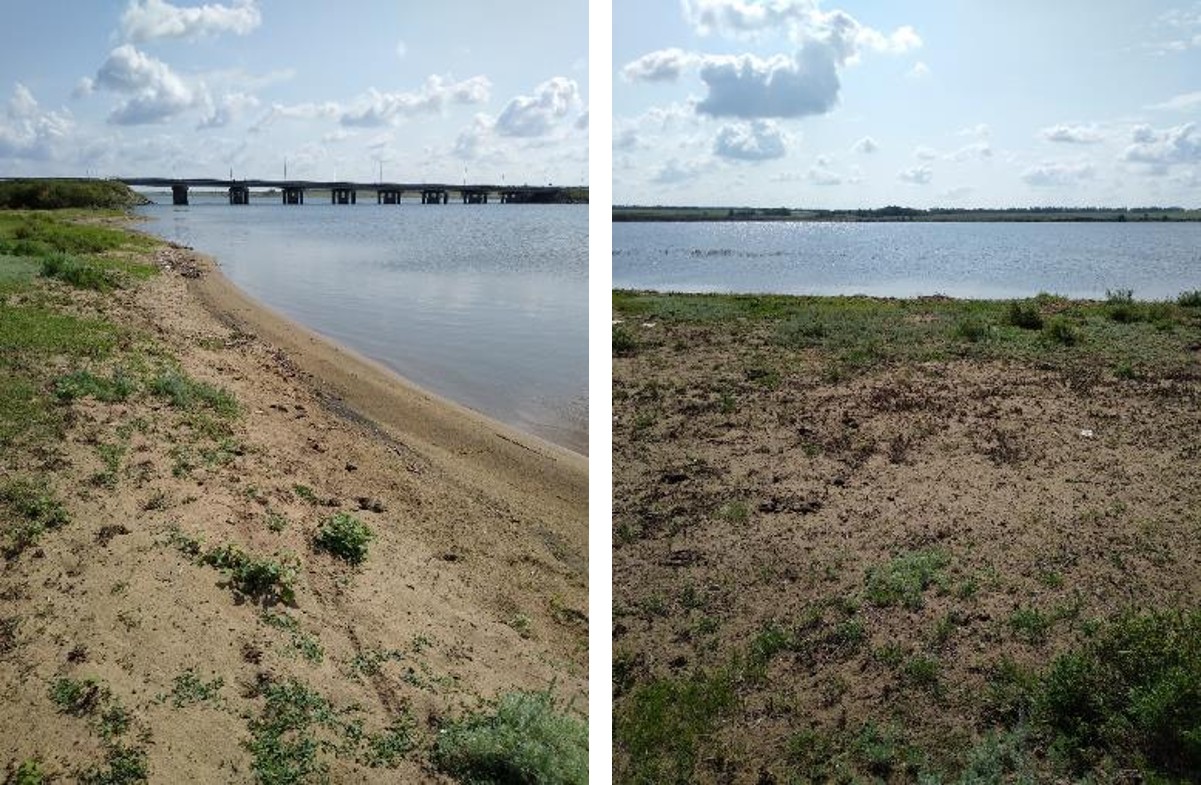 Рисунок 1 - Антропогенно-нарушенный участок (пасьба скота)