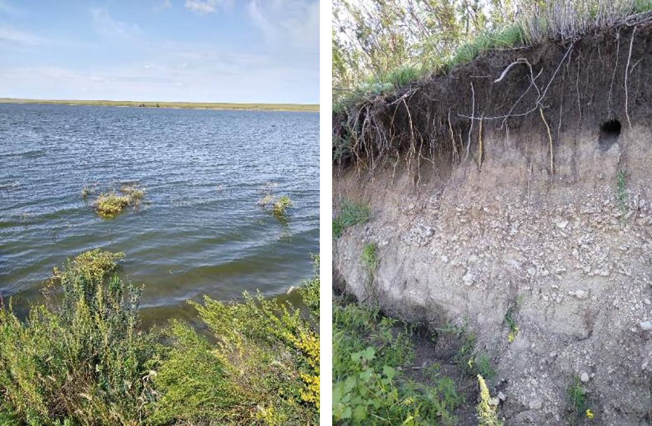 Рисунок 1 - Обрывистый берег. Мелкодерновинная степь.