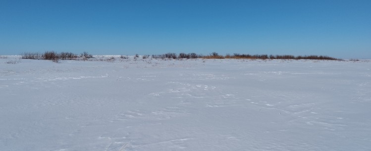 Рисунок 1 - Прибрежная зона Верхнетобольского водохранилища. Снежное покрытие